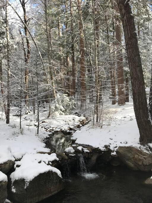 Owl Pine Cabin On Strawberry Creek 아이딜와일드 외부 사진