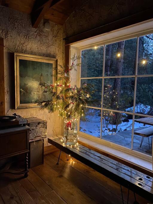 Owl Pine Cabin On Strawberry Creek 아이딜와일드 외부 사진