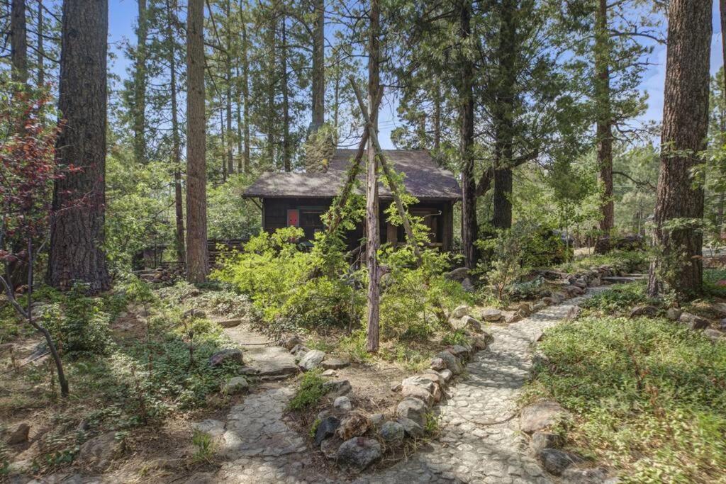 Owl Pine Cabin On Strawberry Creek 아이딜와일드 외부 사진