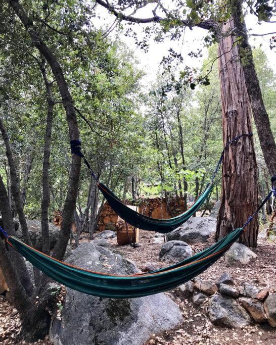 Owl Pine Cabin On Strawberry Creek 아이딜와일드 외부 사진