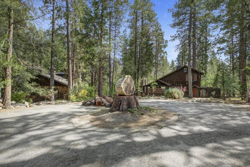Owl Pine Cabin On Strawberry Creek 아이딜와일드 외부 사진