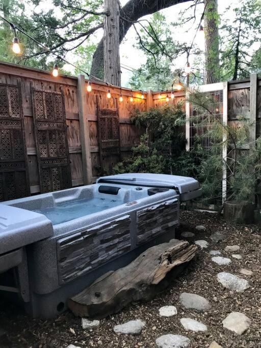 Owl Pine Cabin On Strawberry Creek 아이딜와일드 외부 사진